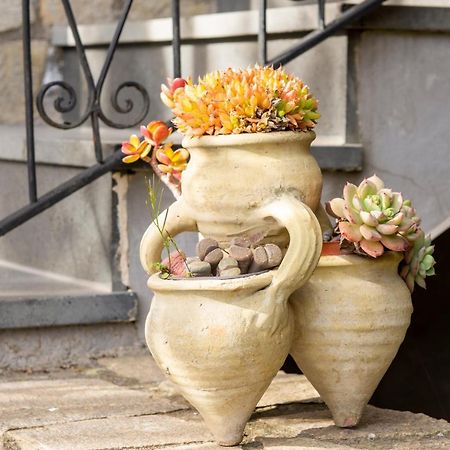 Villa Dei Fiori - Exclusive Villa With Garden In Sorrento Coast ヴィーコ・エクエンセ エクステリア 写真
