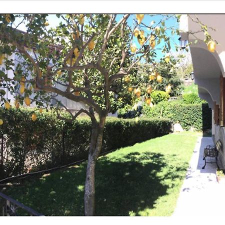 Villa Dei Fiori - Exclusive Villa With Garden In Sorrento Coast ヴィーコ・エクエンセ エクステリア 写真