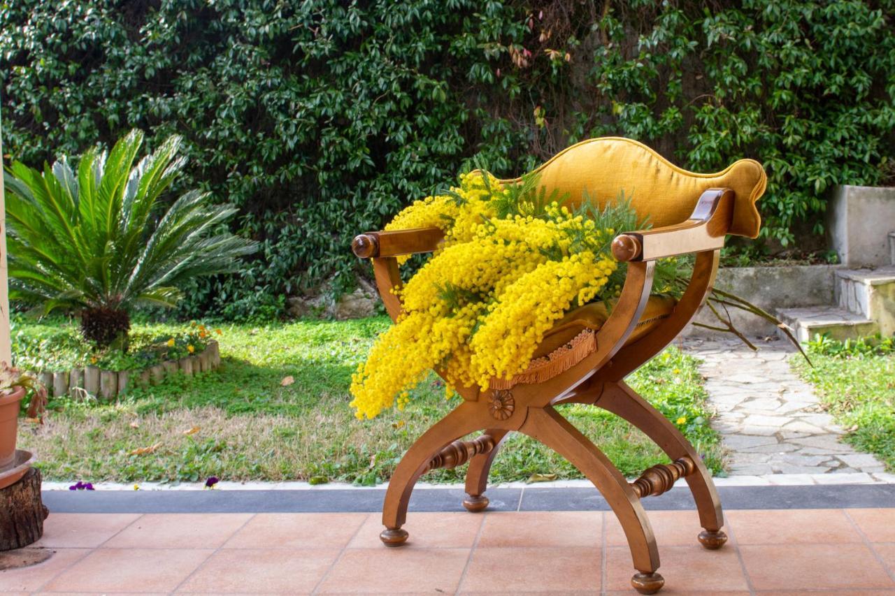 Villa Dei Fiori - Exclusive Villa With Garden In Sorrento Coast ヴィーコ・エクエンセ エクステリア 写真