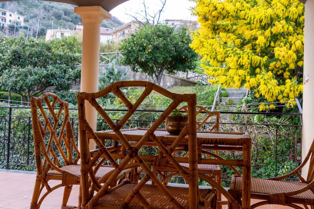Villa Dei Fiori - Exclusive Villa With Garden In Sorrento Coast ヴィーコ・エクエンセ エクステリア 写真