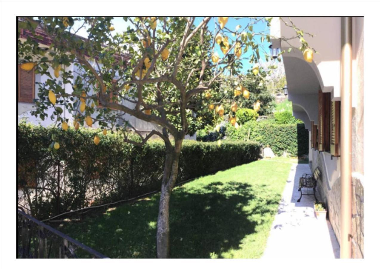 Villa Dei Fiori - Exclusive Villa With Garden In Sorrento Coast ヴィーコ・エクエンセ エクステリア 写真